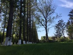 -黄海国家森林公园