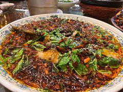-杨记隆府(南坪店)