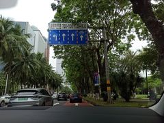 -万绿园