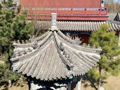 -莲池书院博物馆