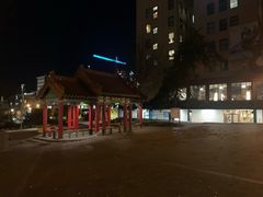-西雅图唐人街