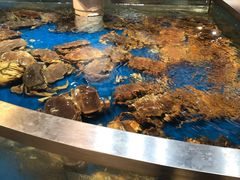 水产区-盒马鲜生(杭州运河上街店)