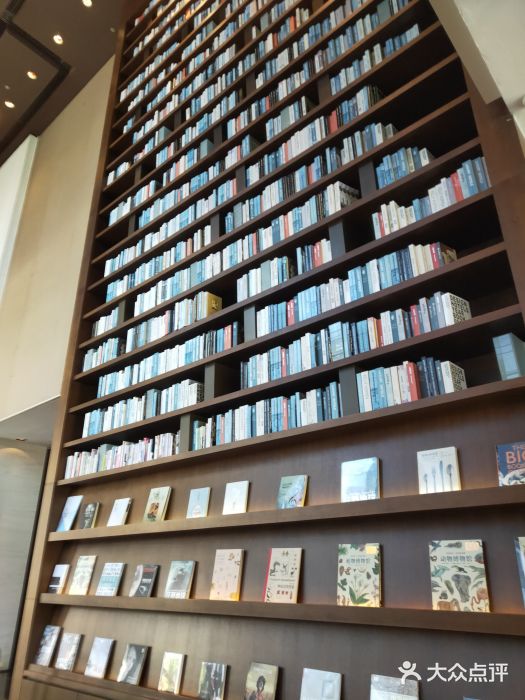 深圳湾木棉花酒店图片