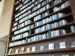 -深圳湾木棉花酒店