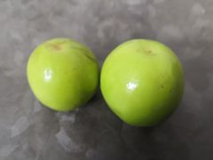 -雨露空间(嘉善施家店)