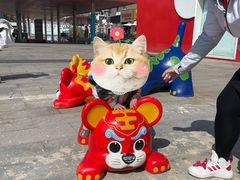 -证大大拇指广场(芳甸路店)