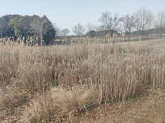 -嘉北郊野公园