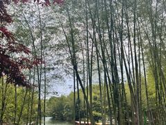 -蜀南竹海景区