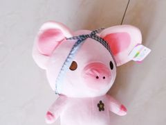 -PAWTOY爪e玩偶店(天兴罗斯福店)