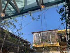 -喵屿·大理花园猫咖