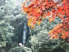 -龙井壹号·茶缘山景宴(龙井村店)