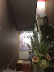 -佐登妮丝美容SPA生活馆