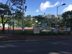 -大埔公路-马料水段香港中文大学(公交站)