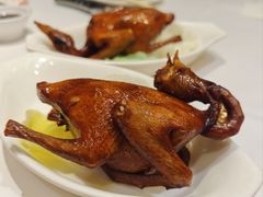 -稻香酒家·34年老字号·港式粤菜(侨光店)