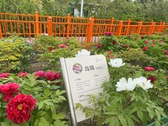 -太阳宫公园