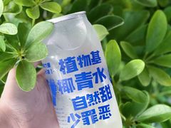 -蔻蔻椰·鲜萃椰子水(COCO Park店)