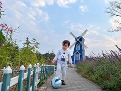 -铁山坪森林公园