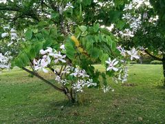 -三亚珠江南田温泉度假区