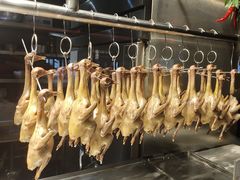 -三强鸽子(中原路店)