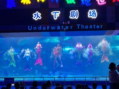 -泉城欧乐堡海洋极地世界