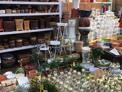 -秦美花卉(天朗·莱茵小城2期店)