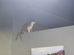 -蓝天射箭馆·专业射箭运动(诚丰广场店)