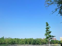 -西安浐灞国家湿地公园