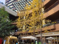 -瑞虹新天地月亮湾