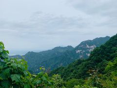 -终南山国家森林公园