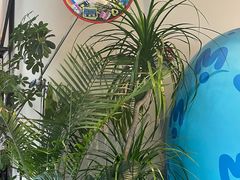 -MONANA蛋糕研究所