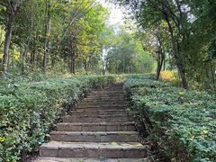 -天目湖涵田度假村