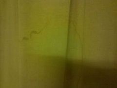 -锦江之星(淮安万达广场健康东路店)