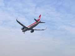 -空港花田景区