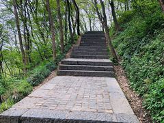 -紫金山山顶公园