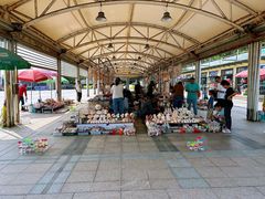 -日照灯塔风景区