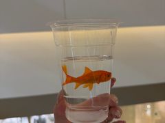 -汤姆熊欢乐世界(大连恒隆广场店)