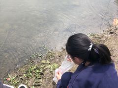 -杭州城北体育公园