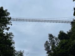 -四会奇石河风景区