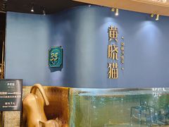 -黄晓猫剁椒大鱼头(海岸城店)