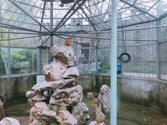 -水绘园