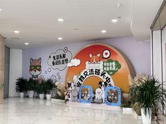 -凯德MALL(望京店)