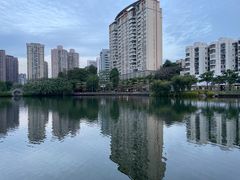 -四海公园(南山区)