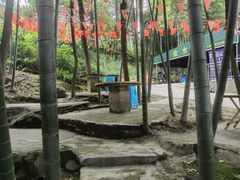-金水泊山庄·花椒鸡(铁山坪店)