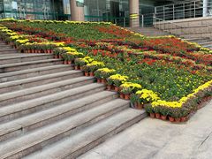 -青岛市图书馆