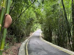 -沐川竹海旅游景区