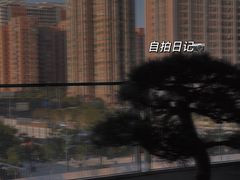 -丽思卡尔顿·炙焰·铁板烧餐厅
