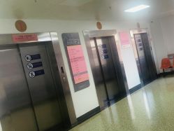 -北京妇产医院(东院)