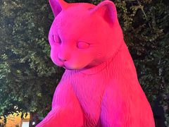 -西安电影制片厂