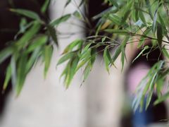 -远山有窑