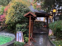 -杭州第一世界大酒店·云曼温泉